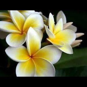 Meet your Posher, Kenna